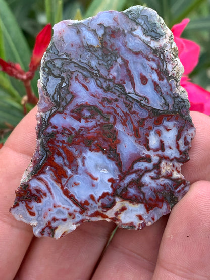 Agate mousse, magnifique spécimen de 64 x 47 x 22 mm - 61 grammes environ. Des dessins et couleurs rares et uniques !