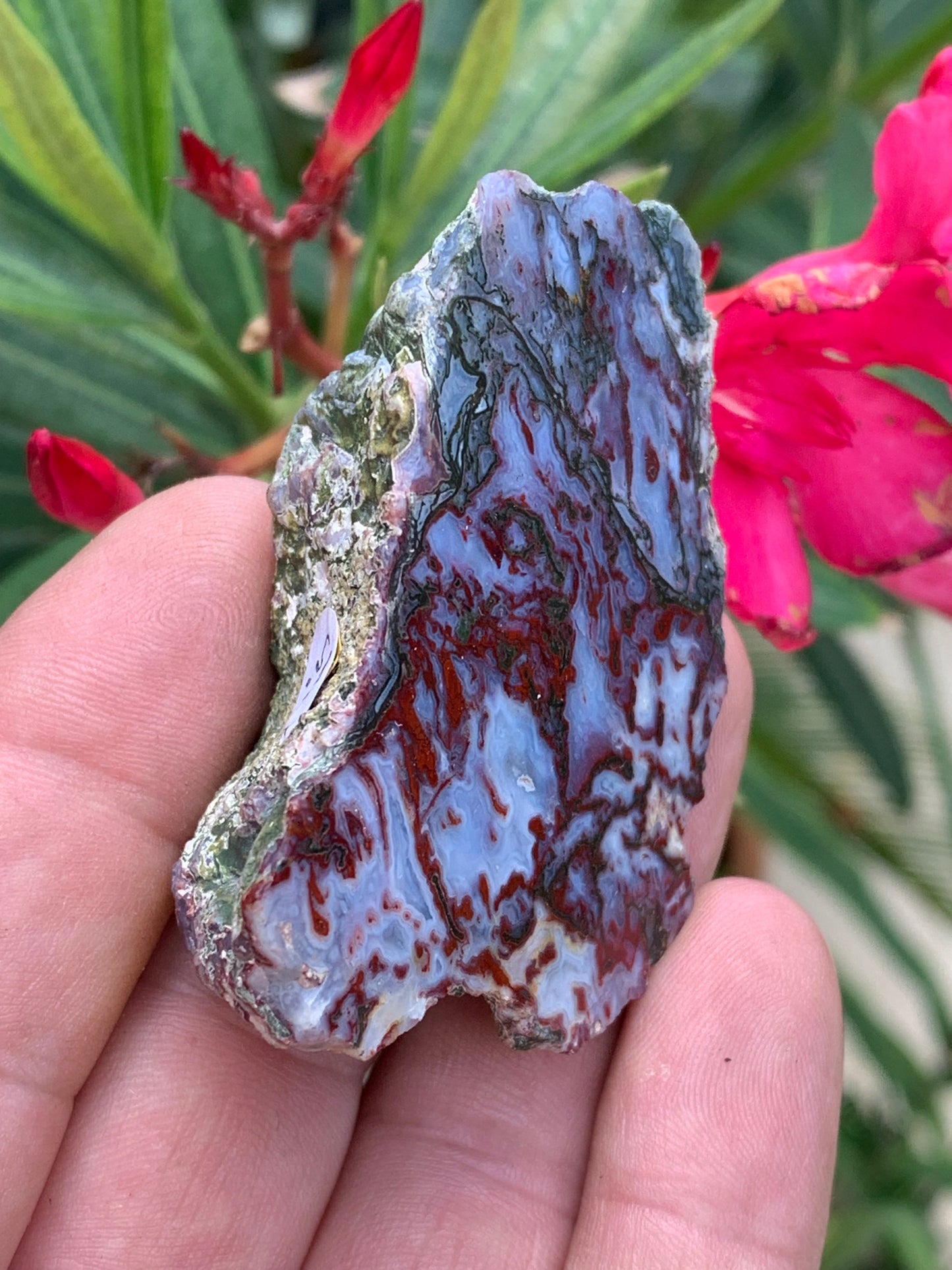 Agate mousse, magnifique spécimen de 64 x 47 x 22 mm - 61 grammes environ. Des dessins et couleurs rares et uniques !