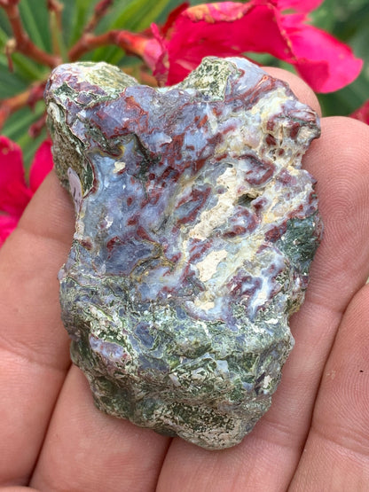 Agate mousse, magnifique spécimen de 64 x 47 x 22 mm - 61 grammes environ. Des dessins et couleurs rares et uniques !
