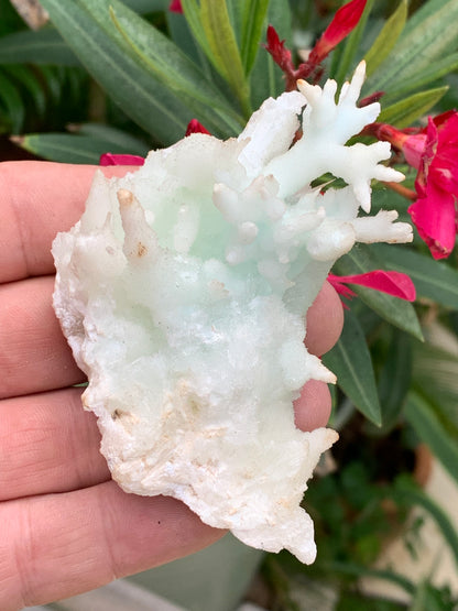 Aragonite verte de France, magnifique spécimen de 86 x 62 x 42 mm - 103,3 grammes. Des formes rares et uniques, une couleur superbe !