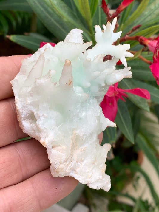 Aragonite verte de France, magnifique spécimen de 86 x 62 x 42 mm - 103,3 grammes. Des formes rares et uniques, une couleur superbe !
