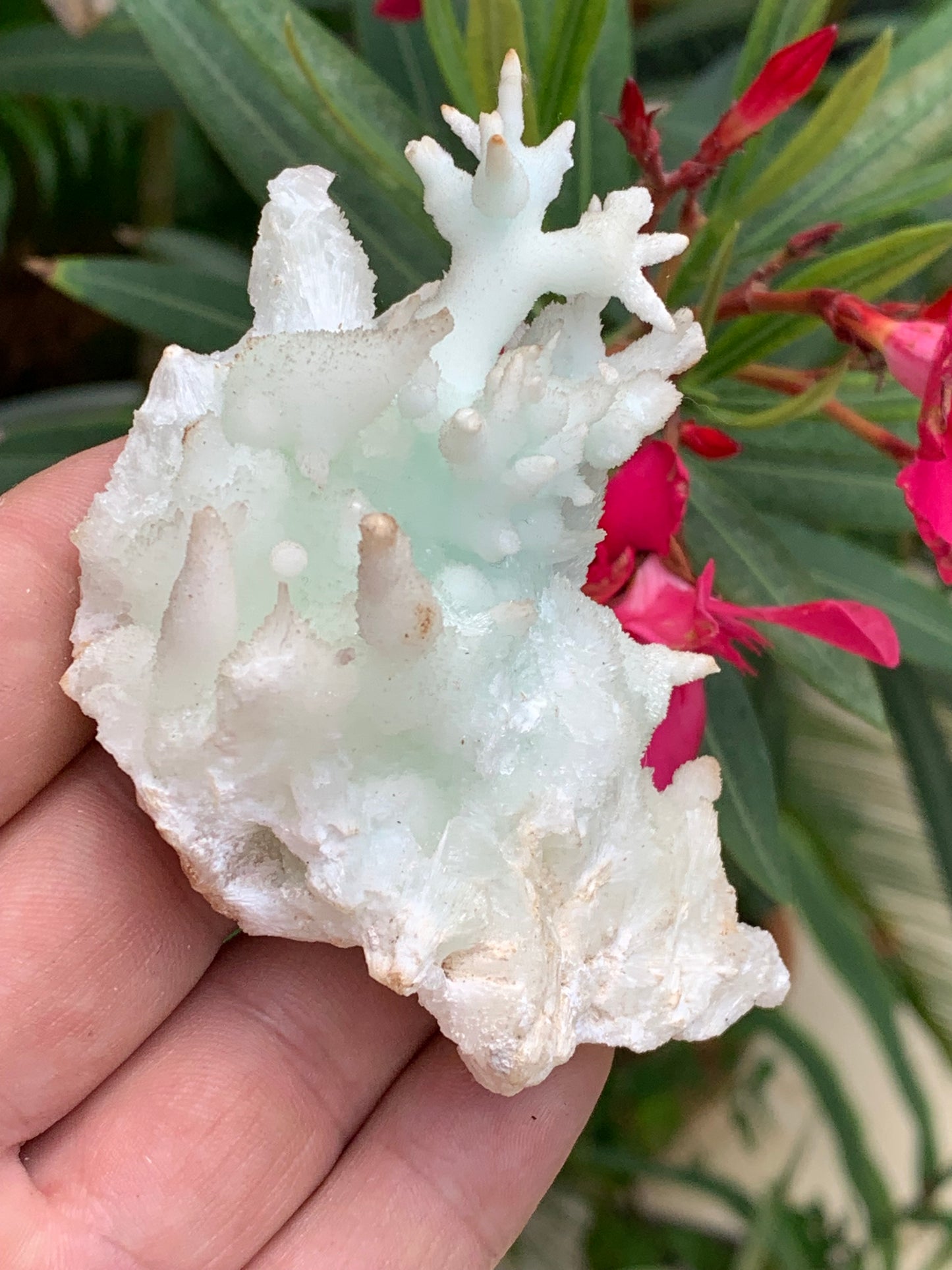 Aragonite verte de France, magnifique spécimen de 86 x 62 x 42 mm - 103,3 grammes. Des formes rares et uniques, une couleur superbe !