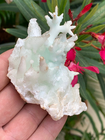 Aragonite verte de France, magnifique spécimen de 86 x 62 x 42 mm - 103,3 grammes. Des formes rares et uniques, une couleur superbe !