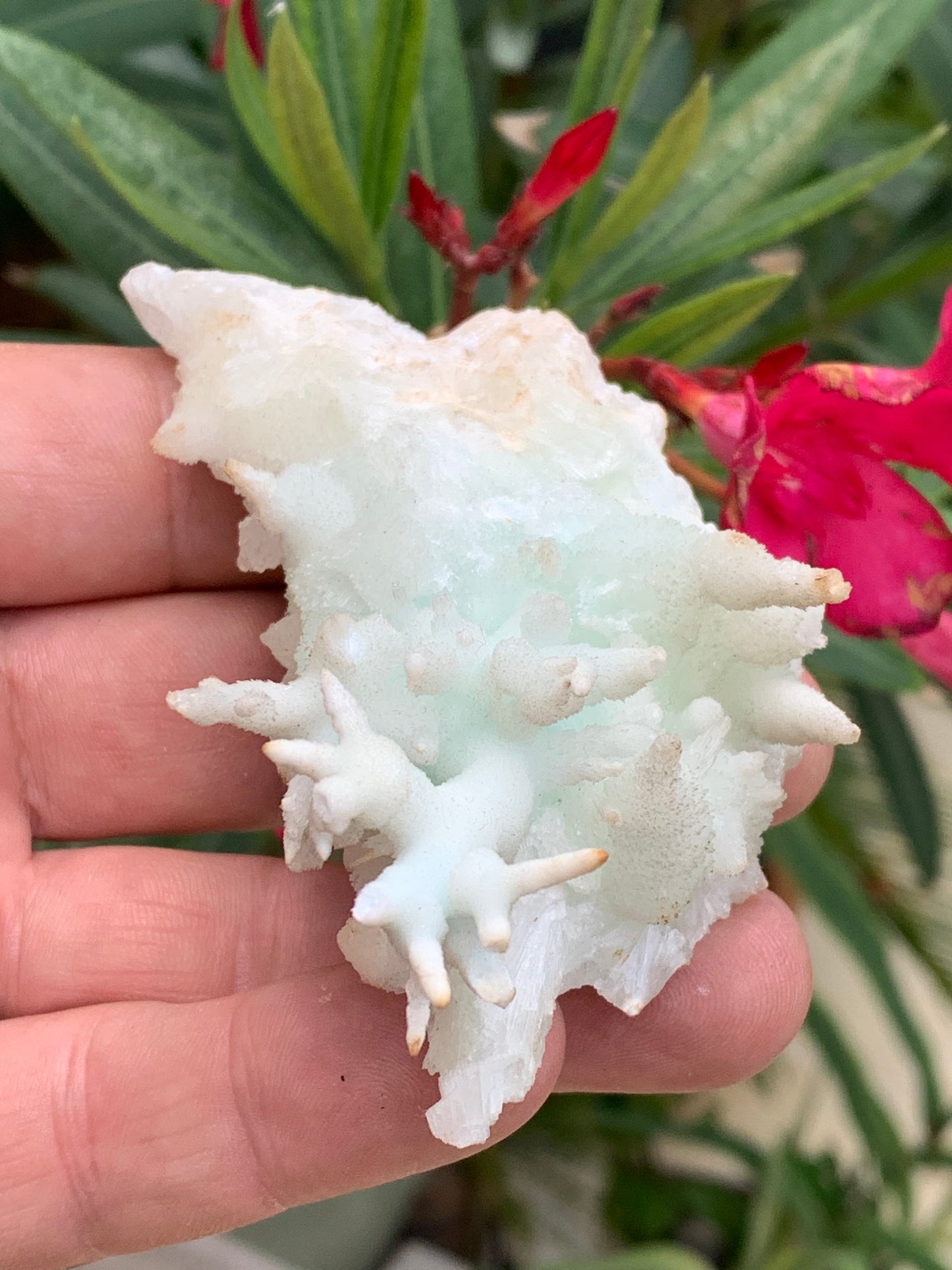 Aragonite verte de France, magnifique spécimen de 86 x 62 x 42 mm - 103,3 grammes. Des formes rares et uniques, une couleur superbe !