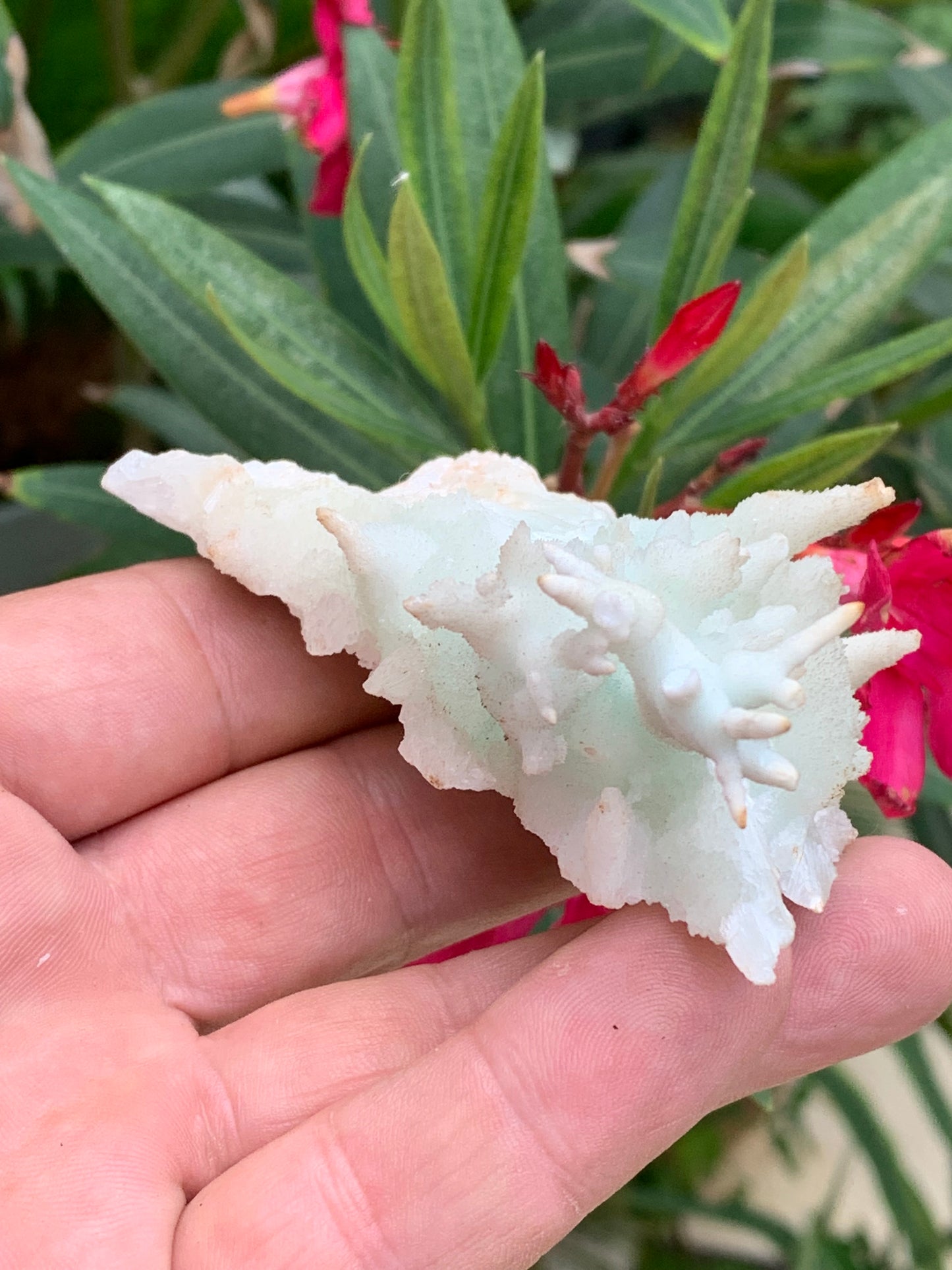 Aragonite verte de France, magnifique spécimen de 86 x 62 x 42 mm - 103,3 grammes. Des formes rares et uniques, une couleur superbe !