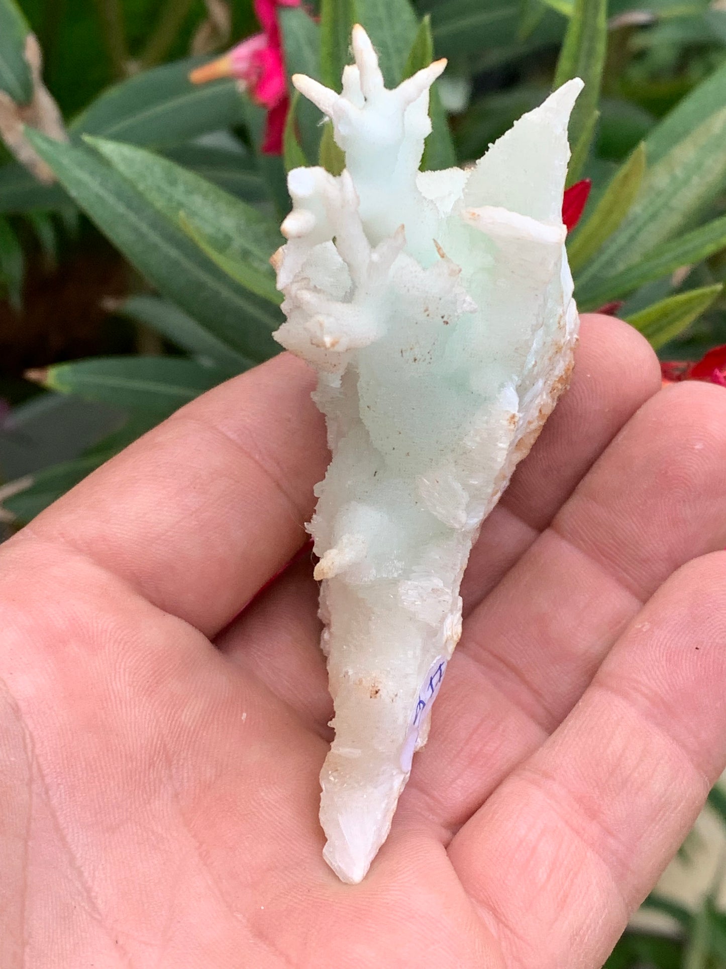 Aragonite verte de France, magnifique spécimen de 86 x 62 x 42 mm - 103,3 grammes. Des formes rares et uniques, une couleur superbe !