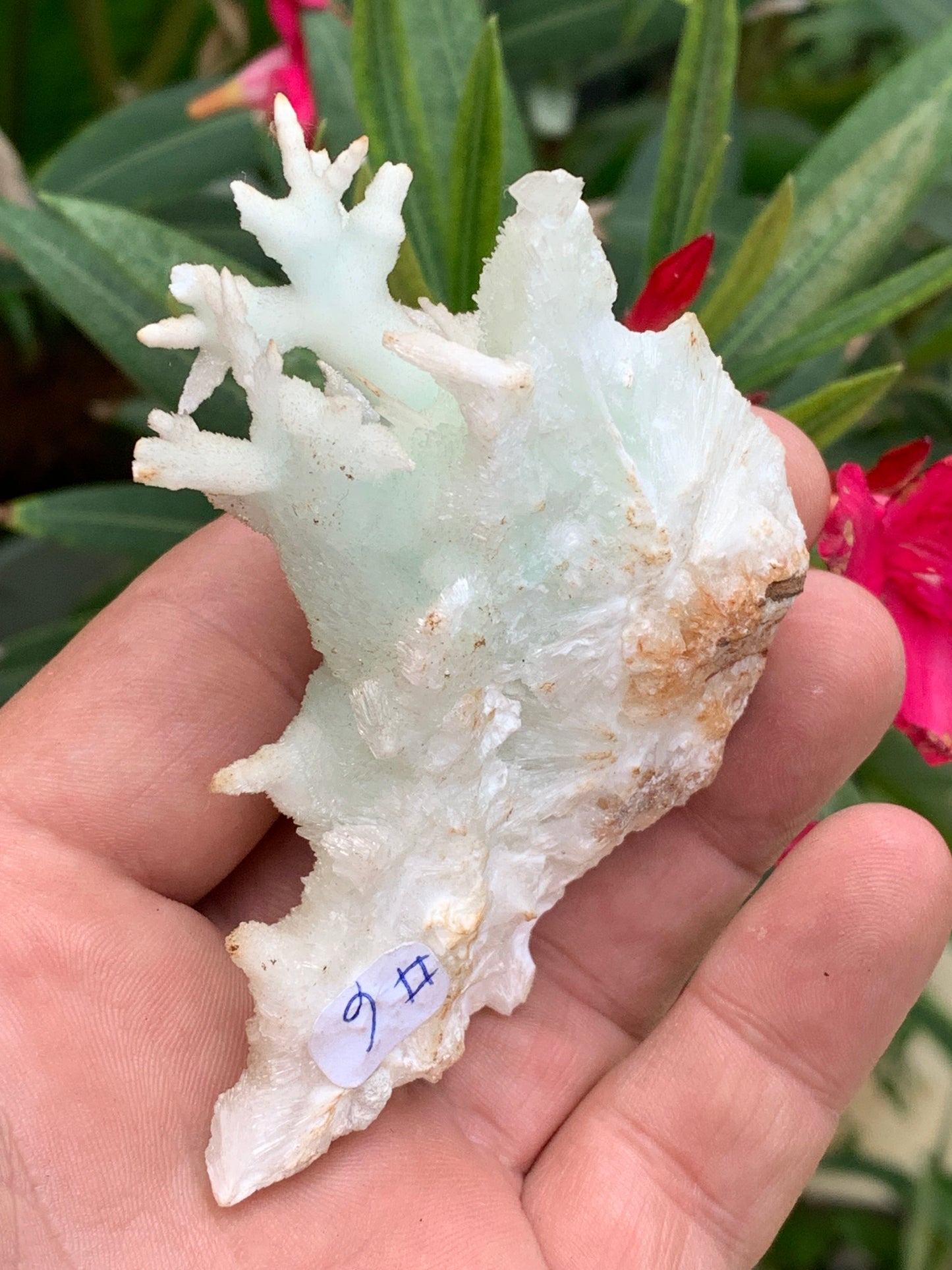 Aragonite verte de France, magnifique spécimen de 86 x 62 x 42 mm - 103,3 grammes. Des formes rares et uniques, une couleur superbe !