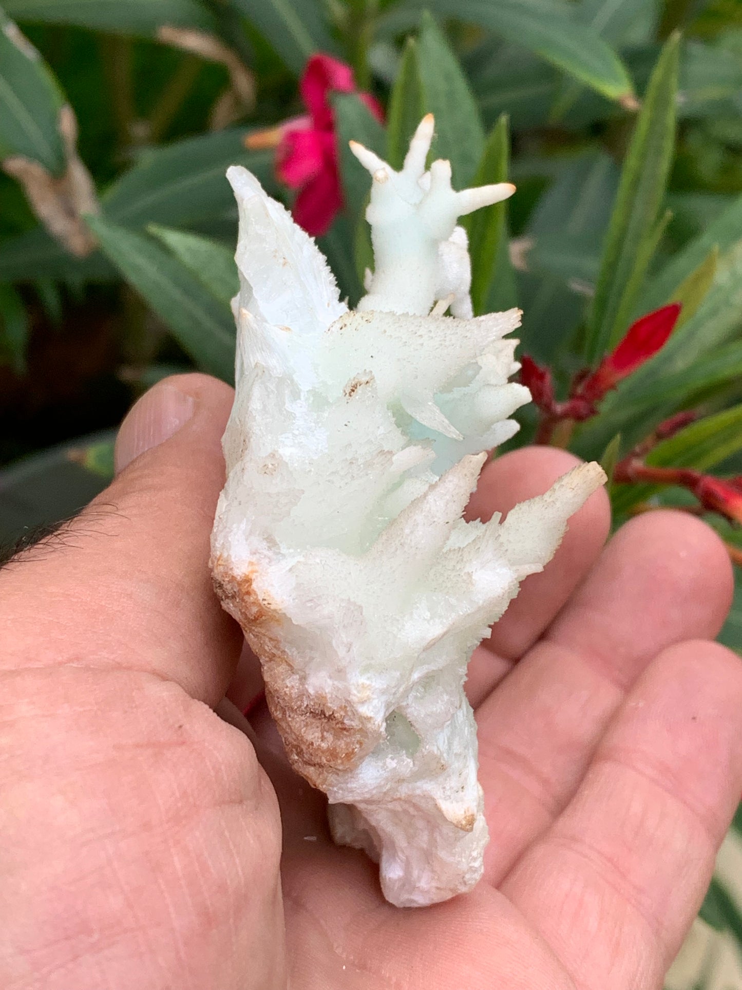 Aragonite verte de France, magnifique spécimen de 86 x 62 x 42 mm - 103,3 grammes. Des formes rares et uniques, une couleur superbe !