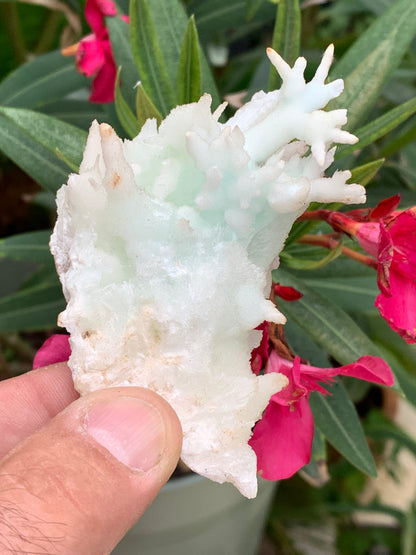 Aragonite verte de France, magnifique spécimen de 86 x 62 x 42 mm - 103,3 grammes. Des formes rares et uniques, une couleur superbe !