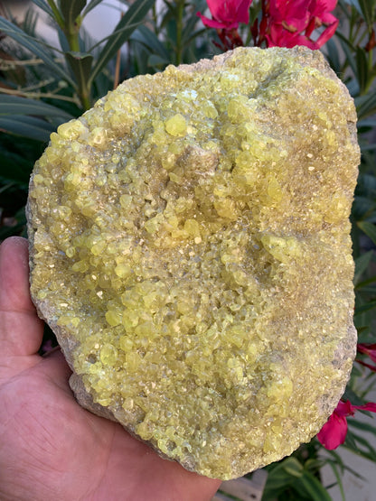 Soufre cristallisé, druse naturelle de 200 x 150 x 70 mm - 1 295 grammes environ. Une merveille de la nature !