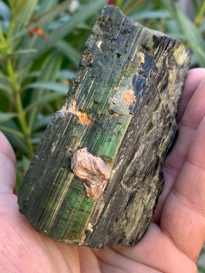 Tourmaline verte/ Verdélite, spécimen naturel de 93 x 56 x 48 mm - 444 grammes environ. Superbe pièce de belle taille !