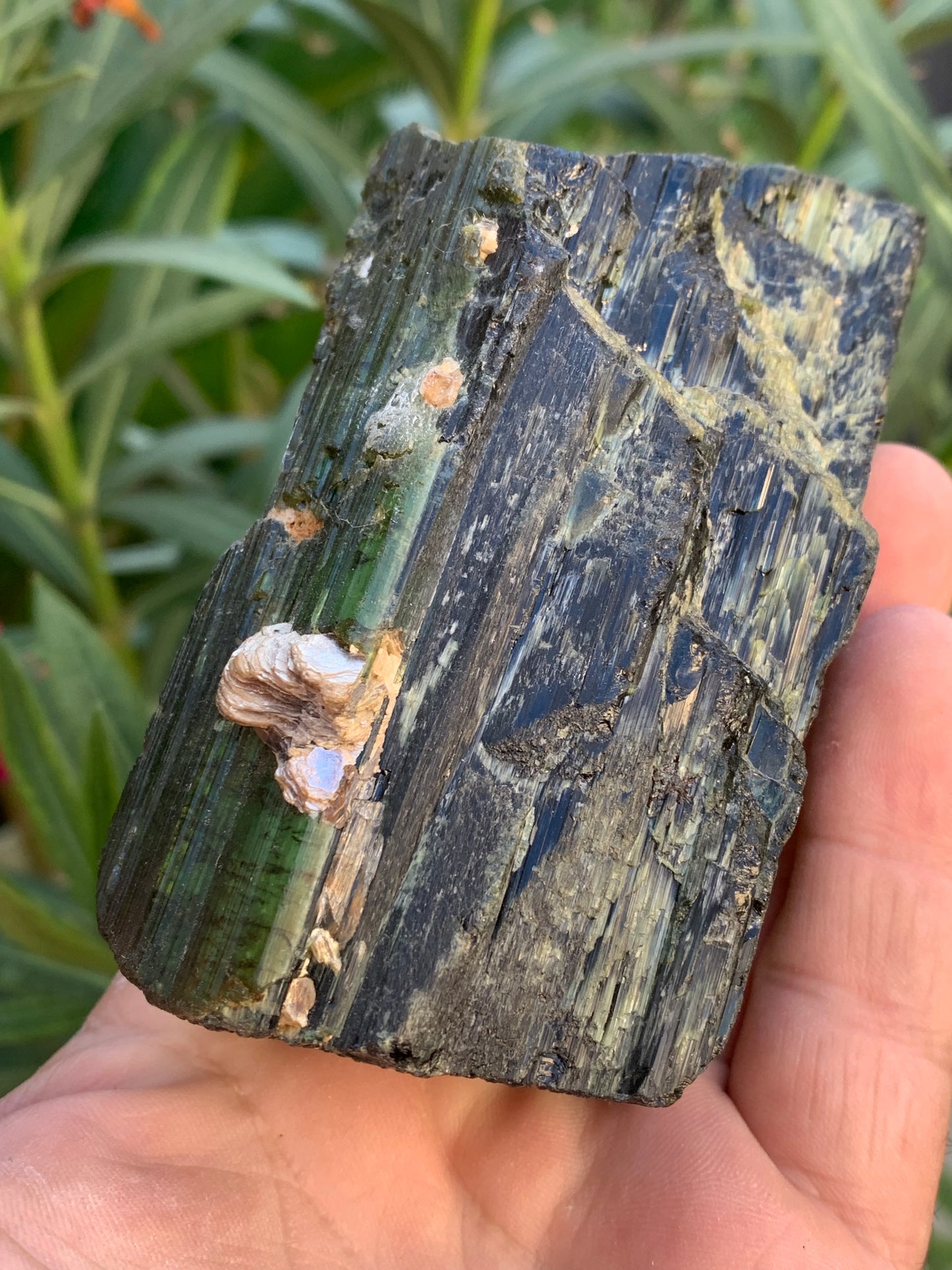 Tourmaline verte/ Verdélite, spécimen naturel de 93 x 56 x 48 mm - 444 grammes environ. Superbe pièce de belle taille !