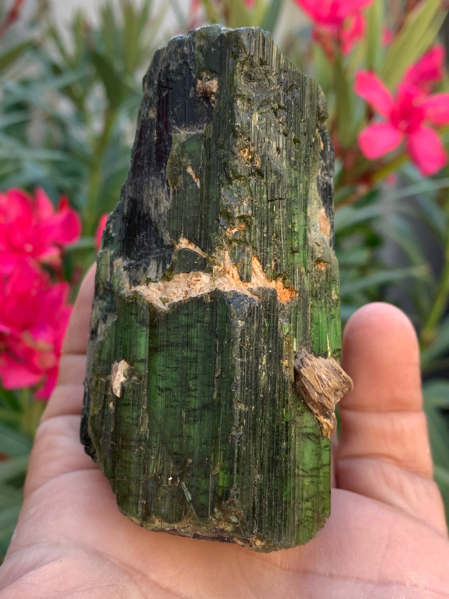 Tourmaline verte/ Verdélite, spécimen naturel de 93 x 56 x 48 mm - 444 grammes environ. Superbe pièce de belle taille !