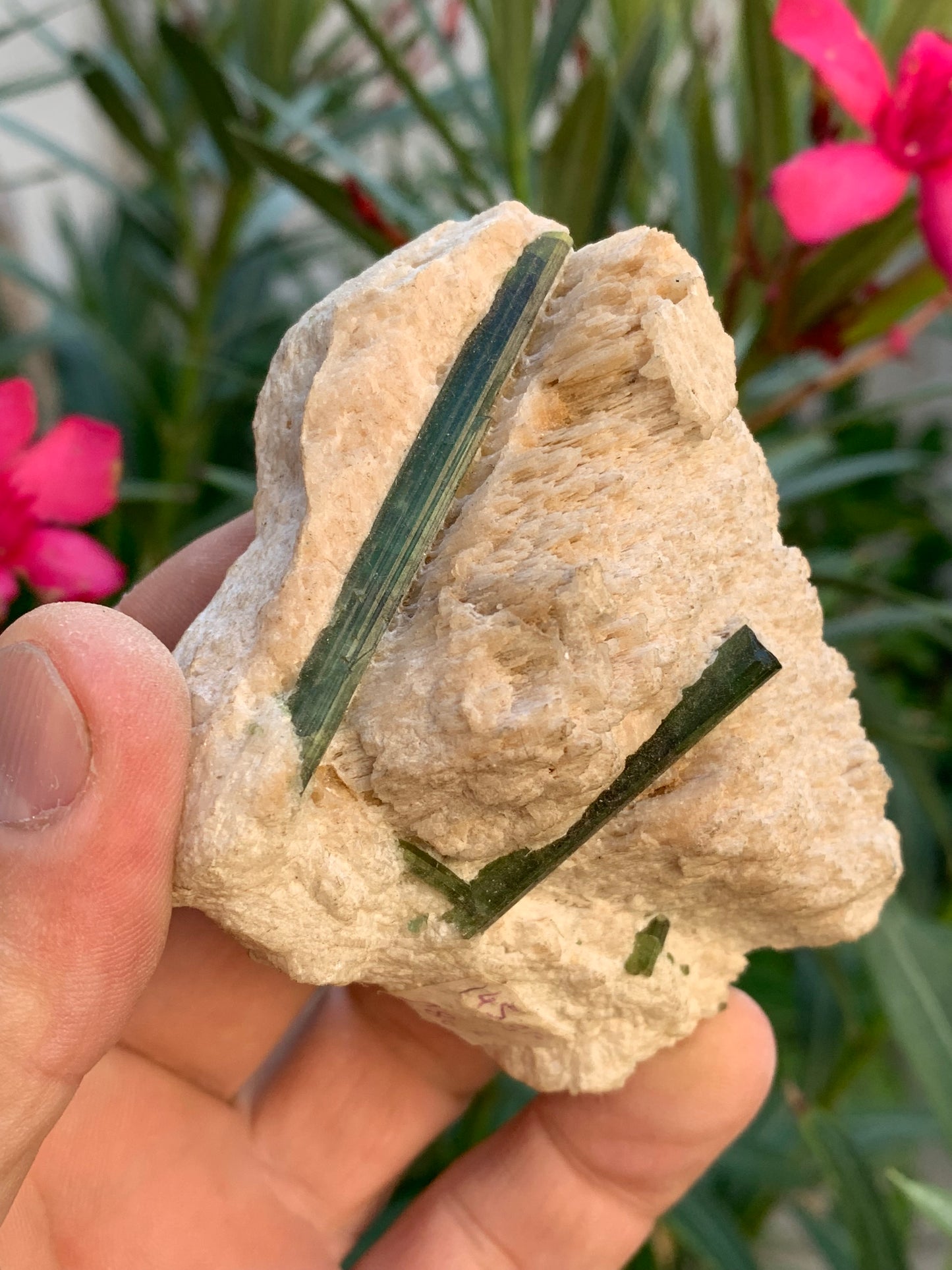 Tourmaline verte/ Verdélite, spécimen naturel de 183 x 62 x 35 mm - 144,5 grammes environ. 2 magnifiques cristaux de belle longueur !