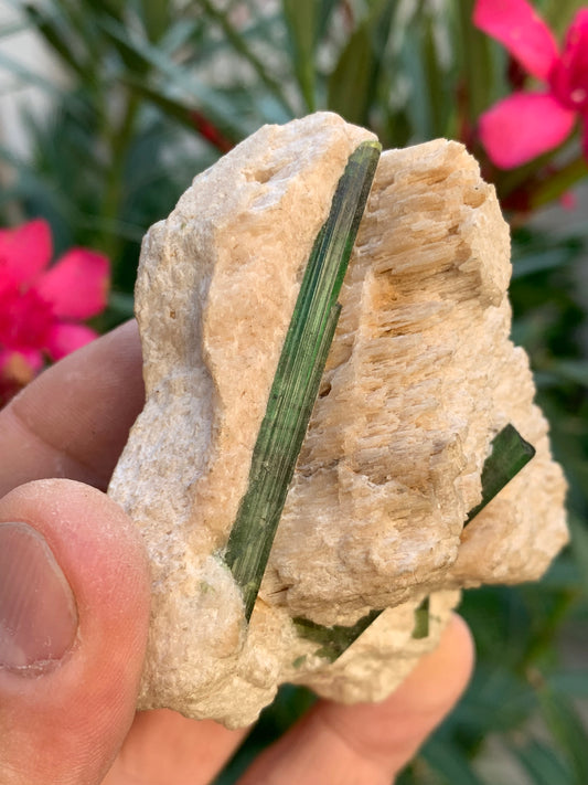 Green Tourmaline/Verdelite, natural specimen measuring 183 x 62 x 35 mm - approximately 144.5 grams. 2 magnificent crystals of good length! 