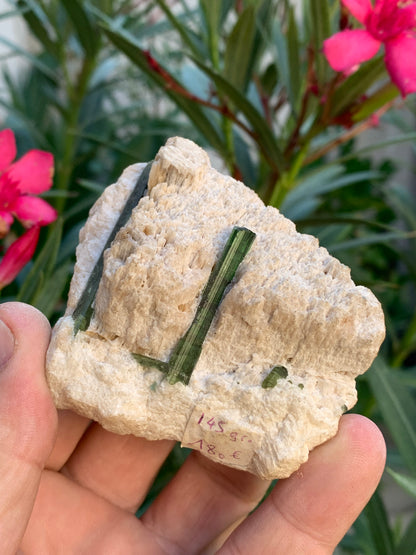 Tourmaline verte/ Verdélite, spécimen naturel de 183 x 62 x 35 mm - 144,5 grammes environ. 2 magnifiques cristaux de belle longueur !