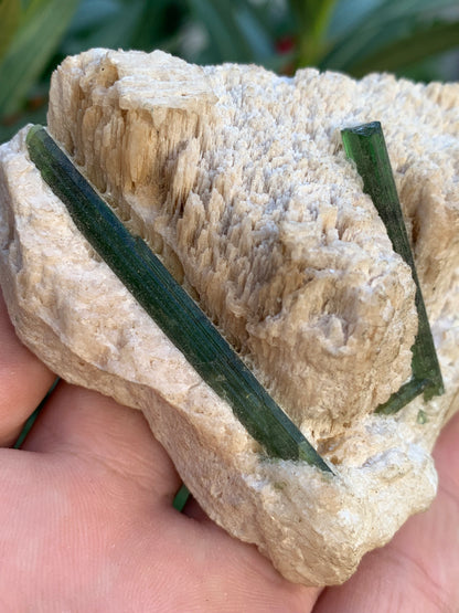 Tourmaline verte/ Verdélite, spécimen naturel de 183 x 62 x 35 mm - 144,5 grammes environ. 2 magnifiques cristaux de belle longueur !