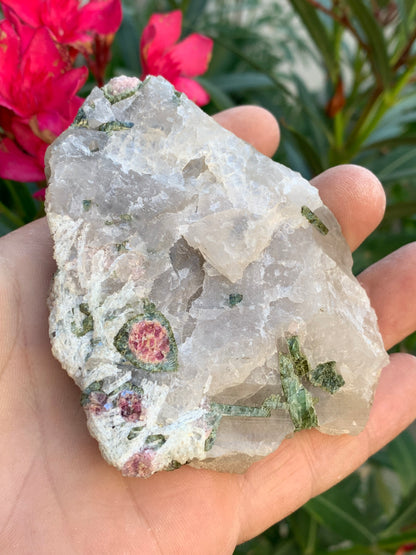 Tourmaline melon d'eau/ pastèque sur quartz, spécimen naturel de 94 x 74 x 28 mm - 226 grammes environ. Un bloc de quartz remplis de cristaux 'melon d'eau', superbe !