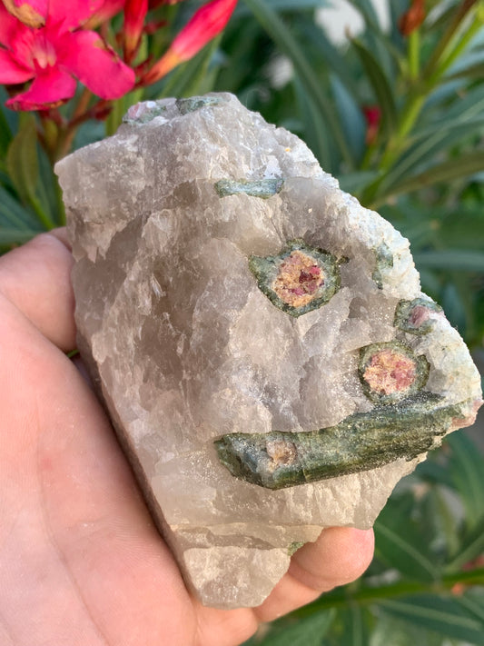 Tourmaline melon d'eau/ pastèque sur quartz, spécimen naturel de 94 x 74 x 28 mm - 226 grammes environ. Un bloc de quartz remplis de cristaux 'melon d'eau', superbe !