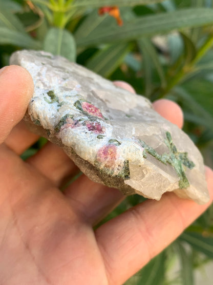 Tourmaline melon d'eau/ pastèque sur quartz, spécimen naturel de 94 x 74 x 28 mm - 226 grammes environ. Un bloc de quartz remplis de cristaux 'melon d'eau', superbe !