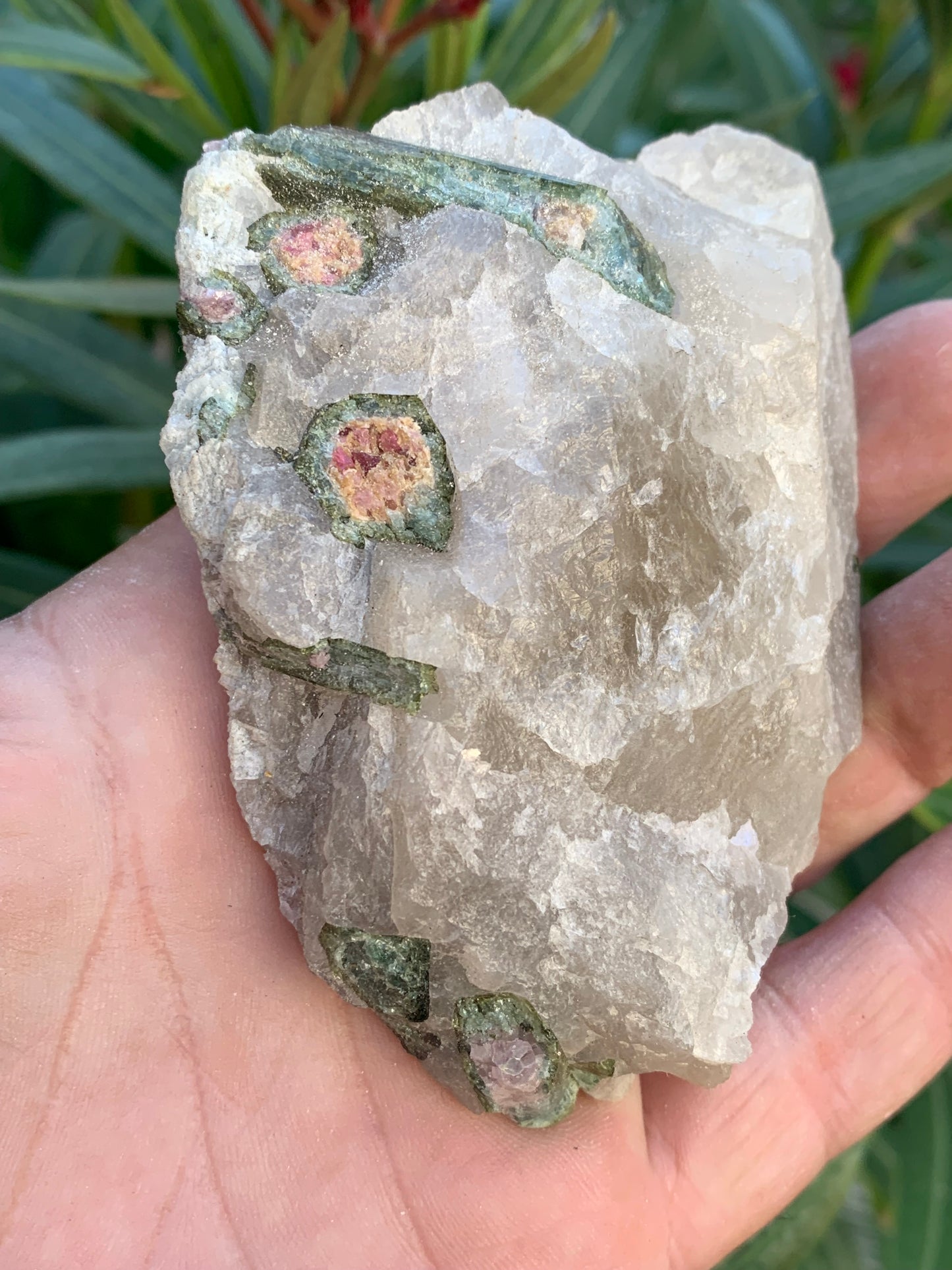 Tourmaline melon d'eau/ pastèque sur quartz, spécimen naturel de 94 x 74 x 28 mm - 226 grammes environ. Un bloc de quartz remplis de cristaux 'melon d'eau', superbe !