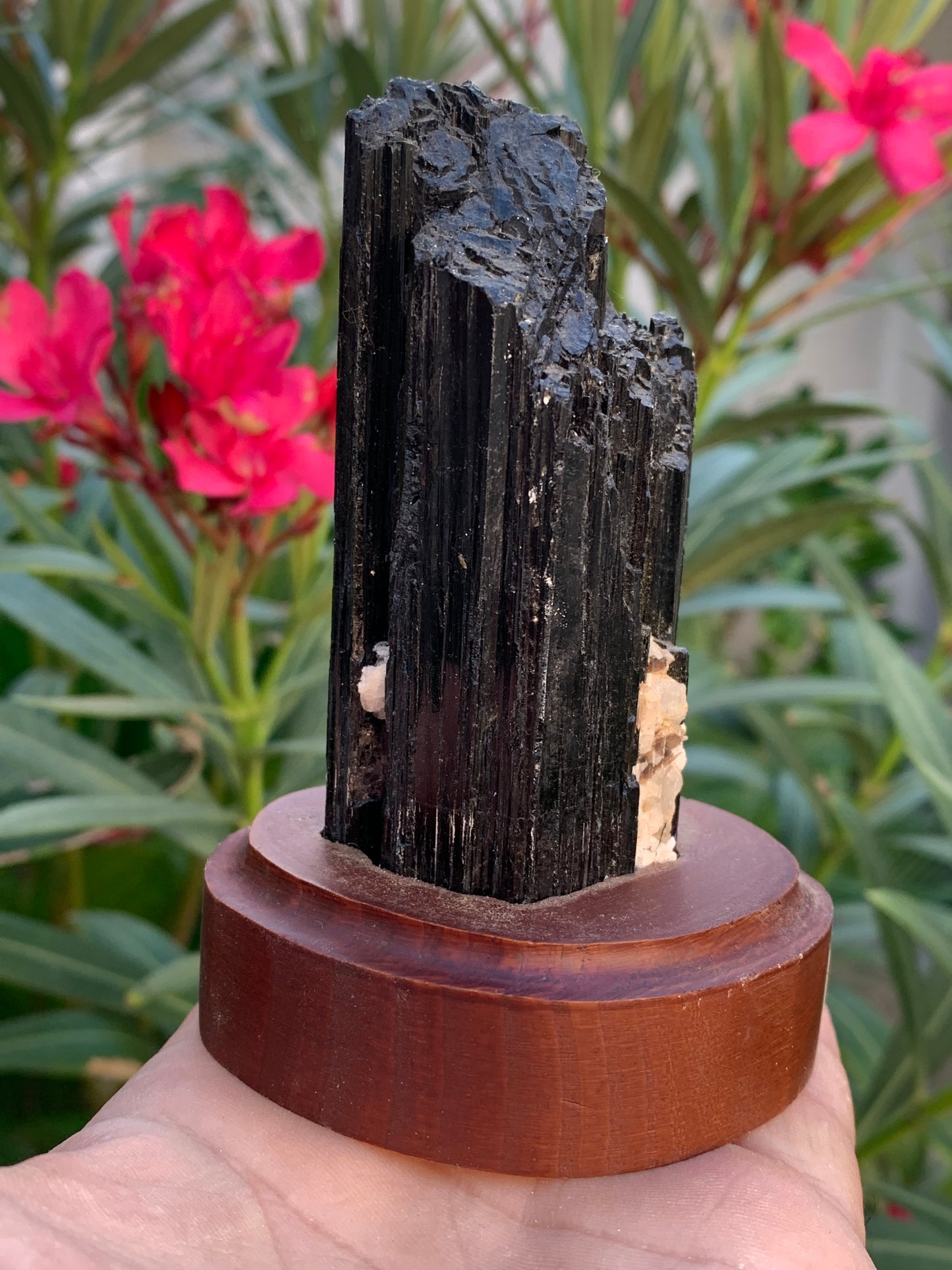 Tourmaline noire sur socle en bois, spécimen naturel de 110 x 74 x 69 mm - 330 grammes environ. Une merveille de la nature prêt à poser !