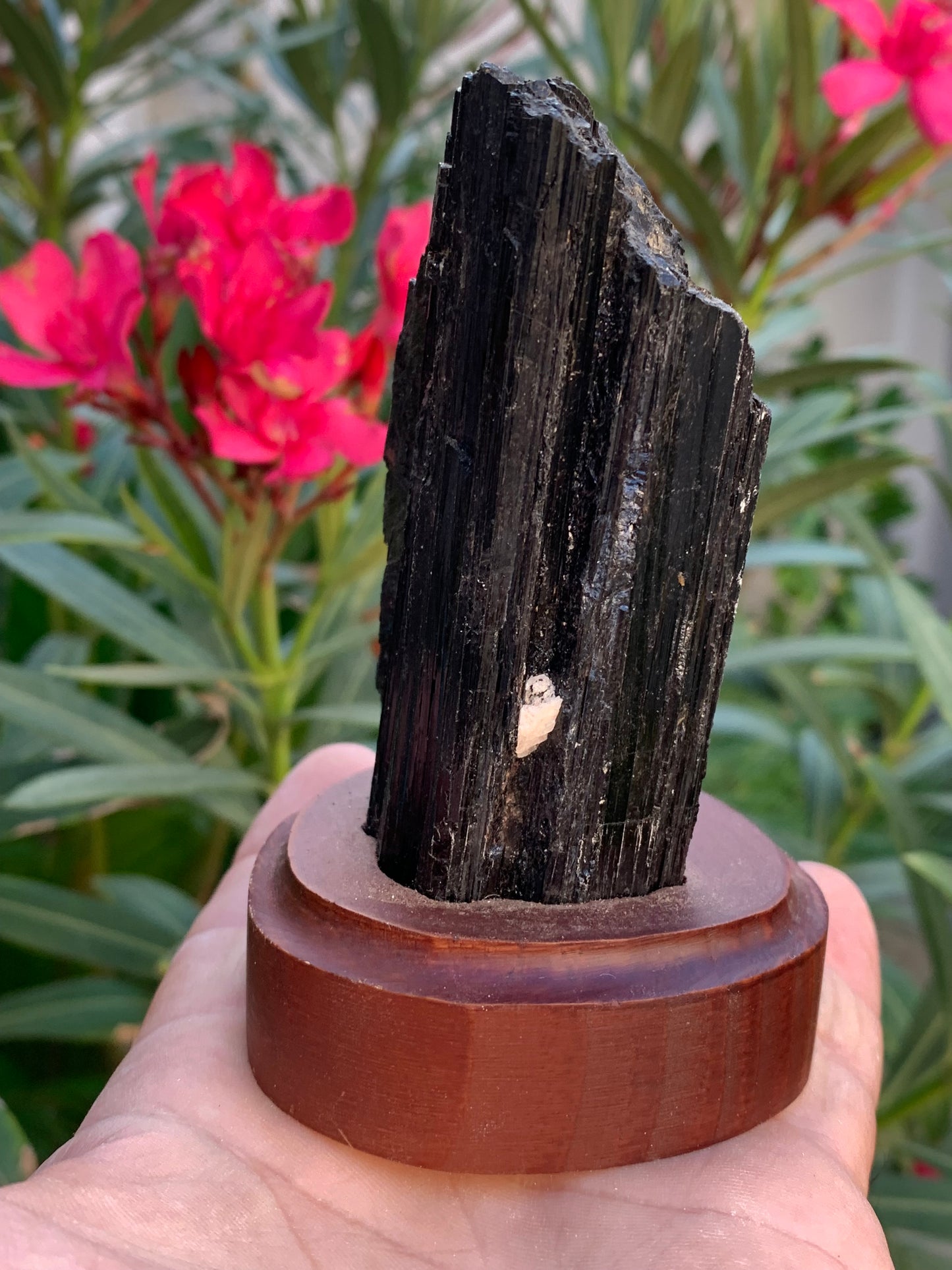 Tourmaline noire sur socle en bois, spécimen naturel de 110 x 74 x 69 mm - 330 grammes environ. Une merveille de la nature prêt à poser !