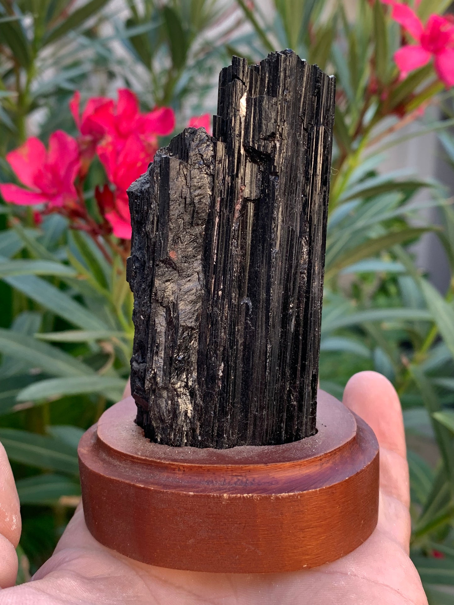 Tourmaline noire sur socle en bois, spécimen naturel de 110 x 74 x 69 mm - 330 grammes environ. Une merveille de la nature prêt à poser !