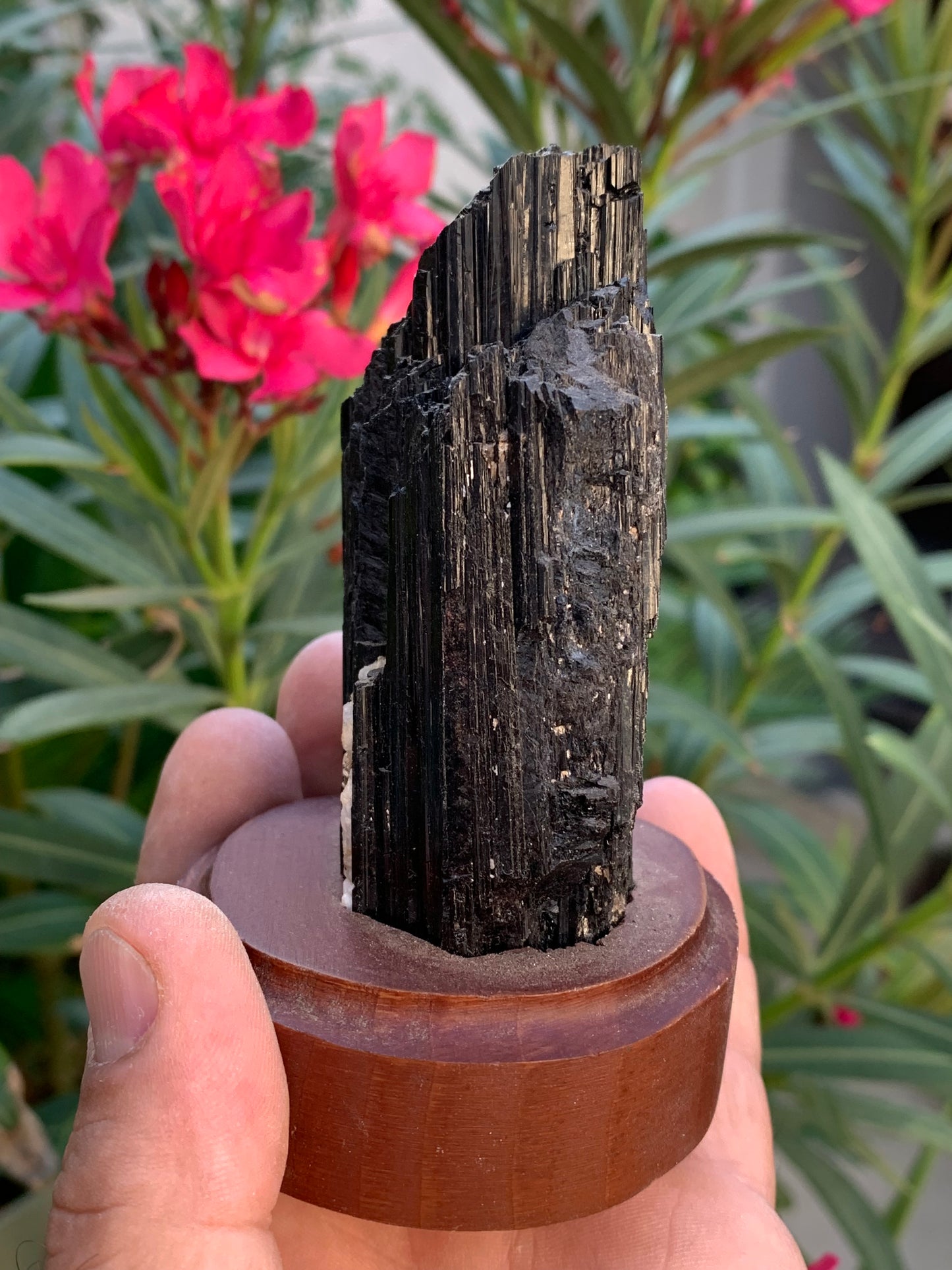 Tourmaline noire sur socle en bois, spécimen naturel de 110 x 74 x 69 mm - 330 grammes environ. Une merveille de la nature prêt à poser !