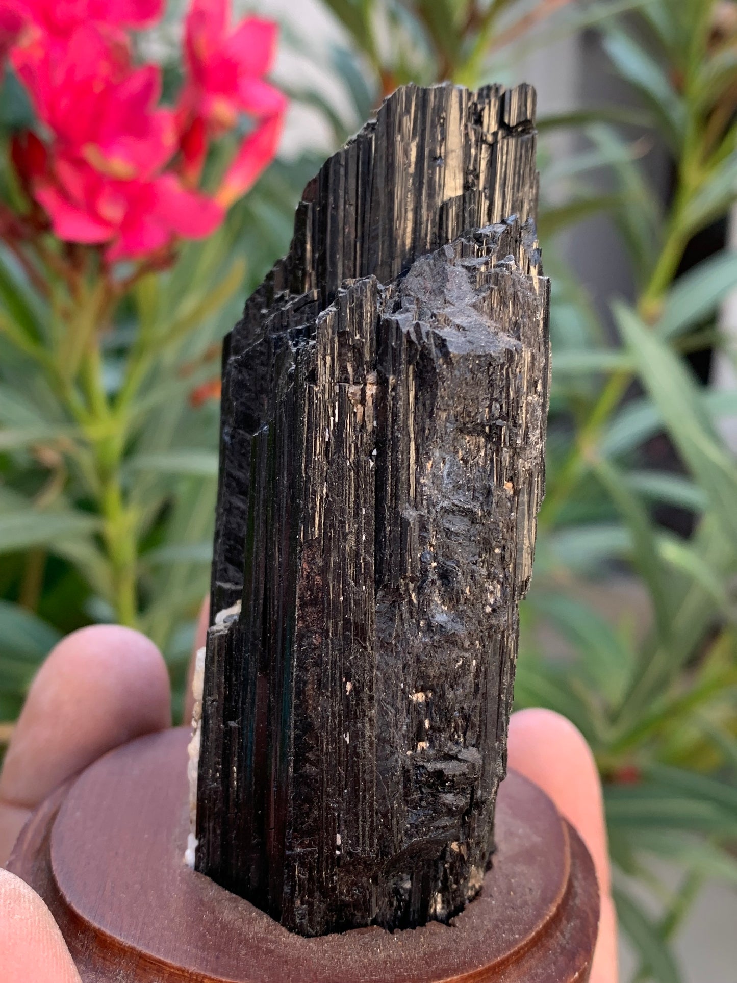 Tourmaline noire sur socle en bois, spécimen naturel de 110 x 74 x 69 mm - 330 grammes environ. Une merveille de la nature prêt à poser !