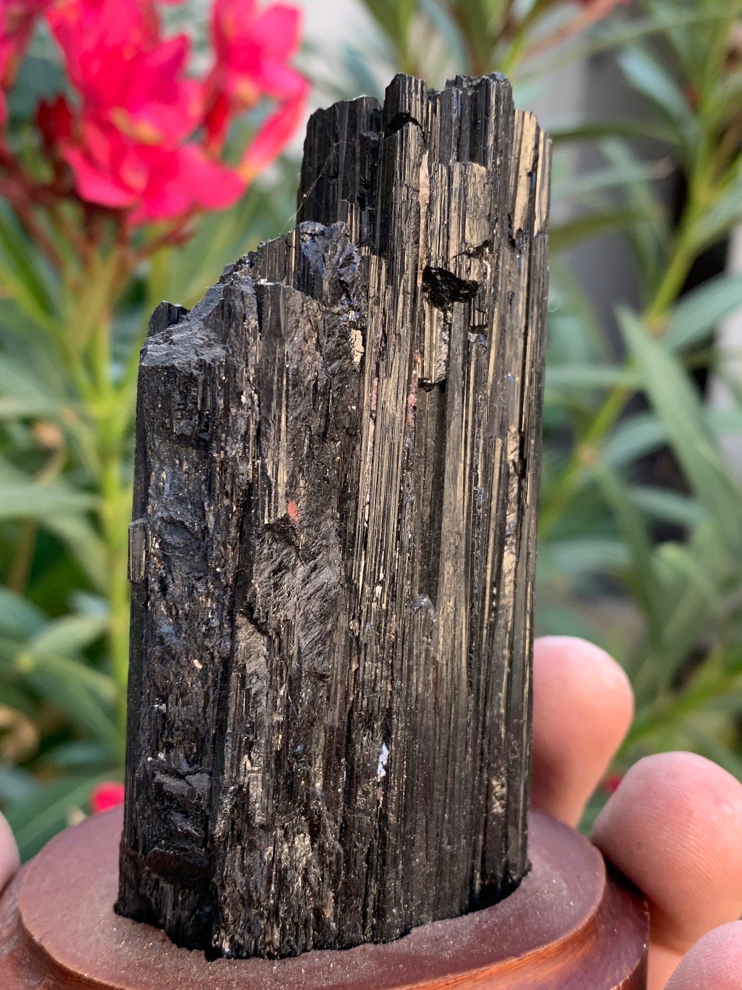 Tourmaline noire sur socle en bois, spécimen naturel de 110 x 74 x 69 mm - 330 grammes environ. Une merveille de la nature prêt à poser !