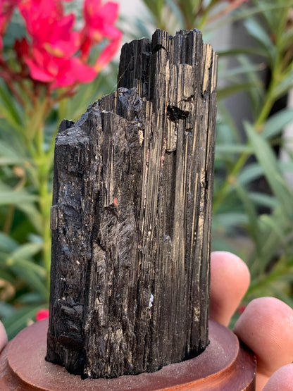 Tourmaline noire sur socle en bois, spécimen naturel de 110 x 74 x 69 mm - 330 grammes environ. Une merveille de la nature prêt à poser !