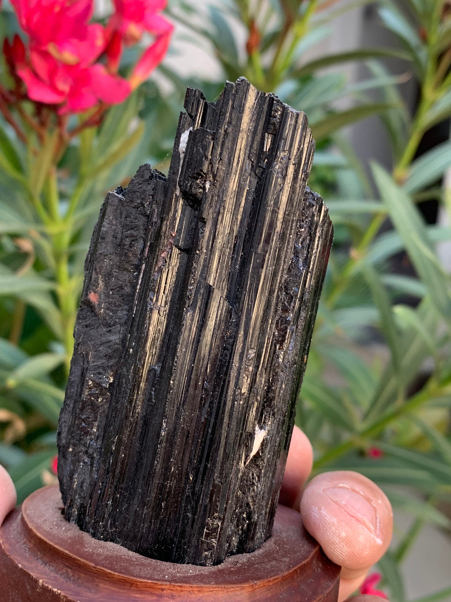 Tourmaline noire sur socle en bois, spécimen naturel de 110 x 74 x 69 mm - 330 grammes environ. Une merveille de la nature prêt à poser !