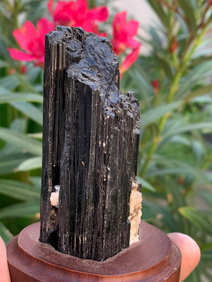 Tourmaline noire sur socle en bois, spécimen naturel de 110 x 74 x 69 mm - 330 grammes environ. Une merveille de la nature prêt à poser !