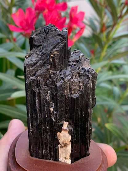 Tourmaline noire sur socle en bois, spécimen naturel de 110 x 74 x 69 mm - 330 grammes environ. Une merveille de la nature prêt à poser !
