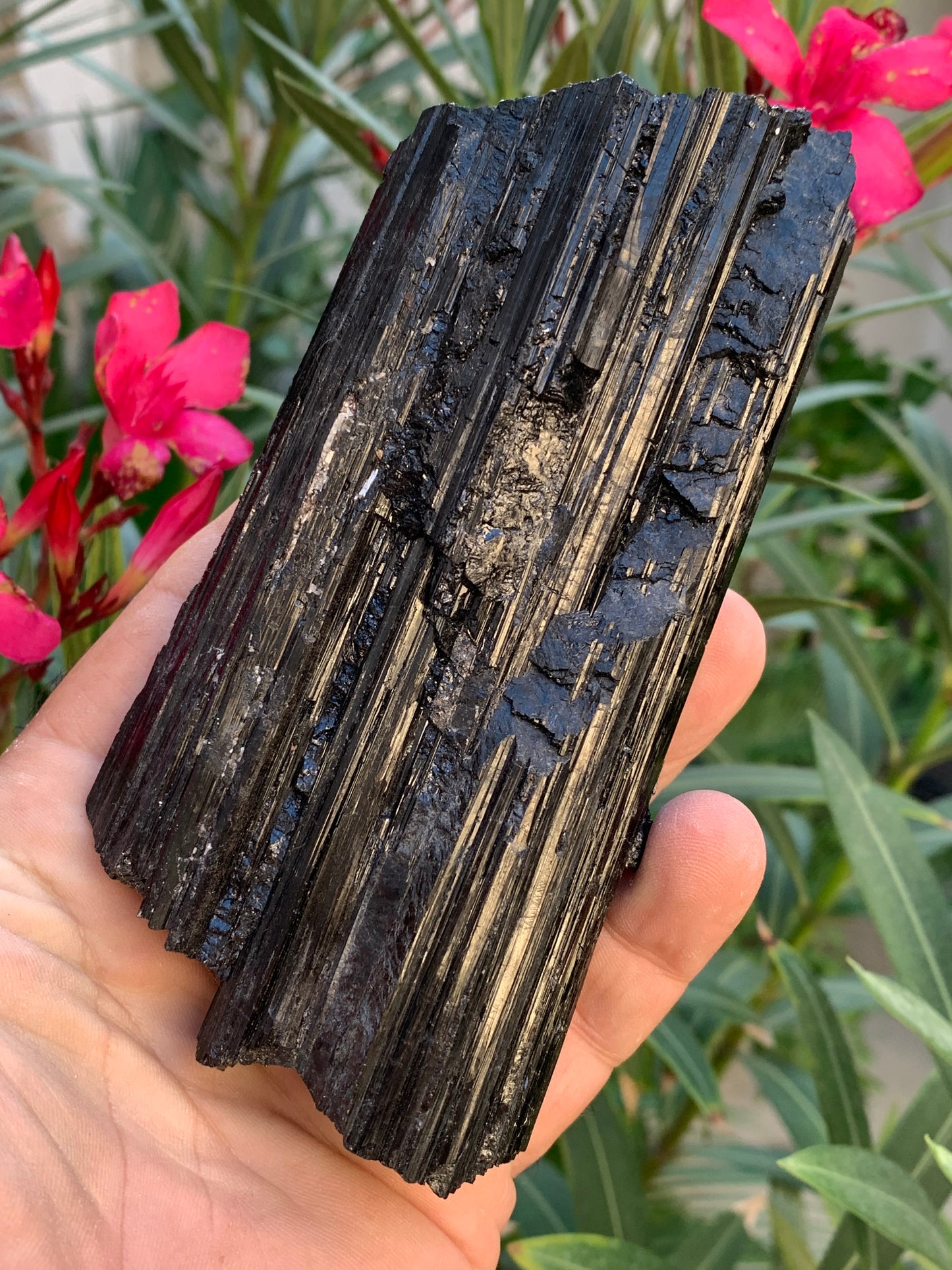 Black tourmaline, natural specimen measuring 137 x 64 x 40 mm - 568 grams. A very beautiful piece of good size! 