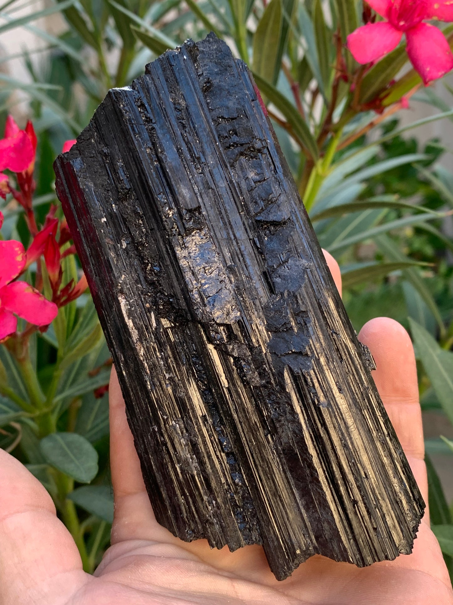 Black tourmaline, natural specimen measuring 137 x 64 x 40 mm - 568 grams. A very beautiful piece of good size! 