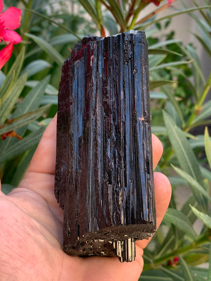 Black tourmaline, natural specimen measuring 137 x 64 x 40 mm - 568 grams. A very beautiful piece of good size! 