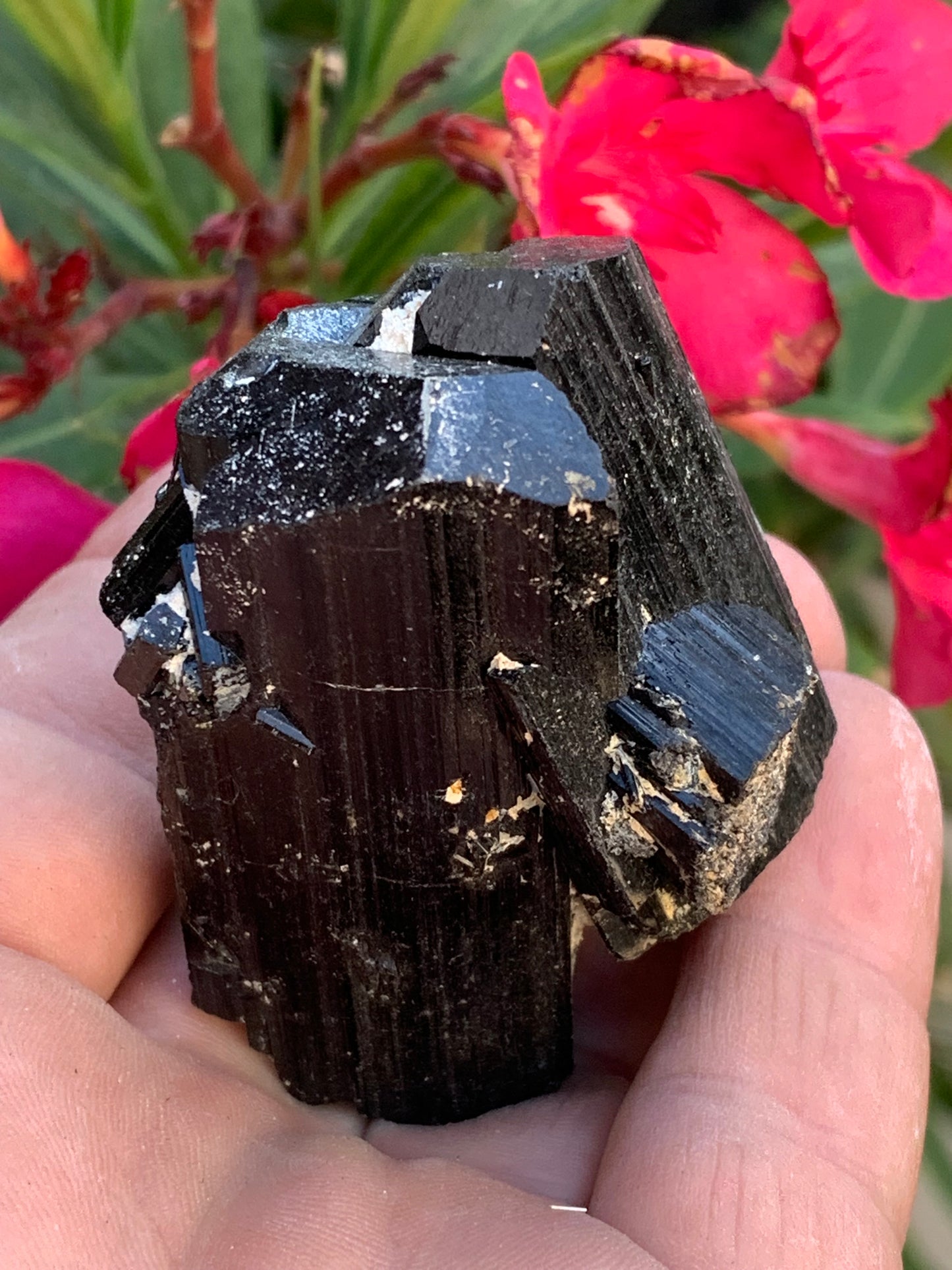 Black tourmaline, natural specimen measuring 62 x 44 x 42 mm - 136 grams. A very beautiful piece representative of the variety! 