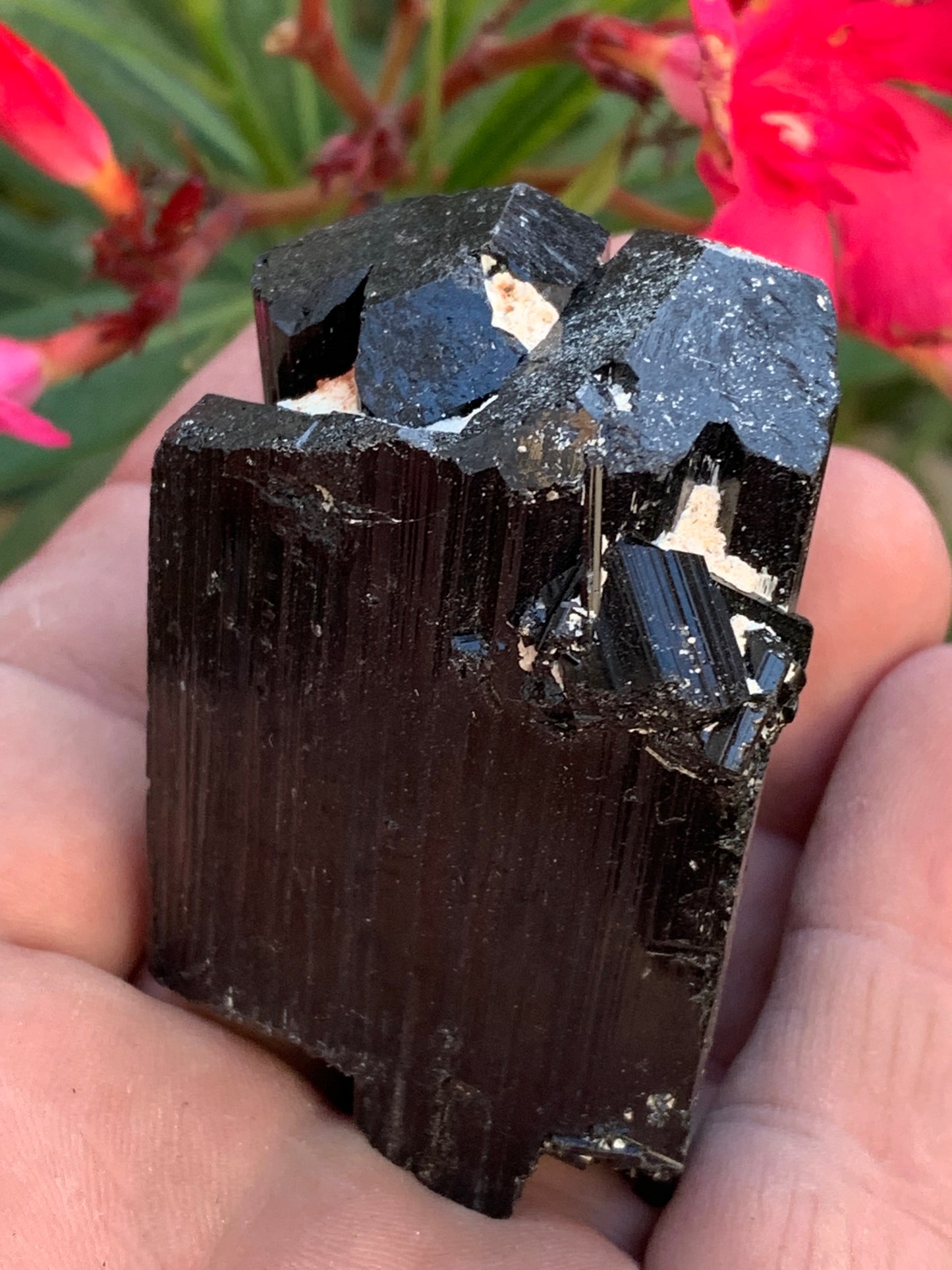 Black tourmaline, natural specimen measuring 62 x 44 x 42 mm - 136 grams. A very beautiful piece representative of the variety! 