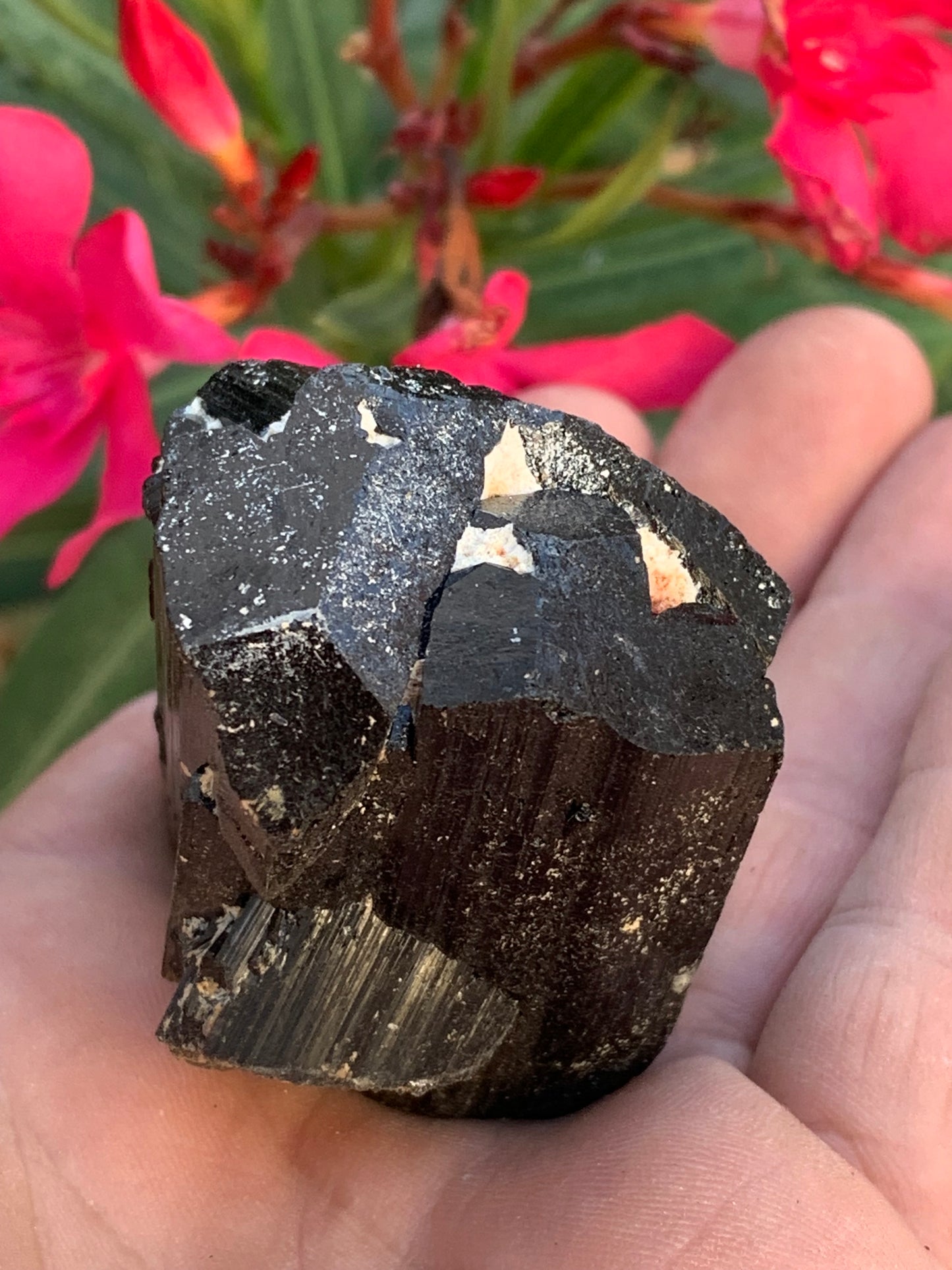 Black tourmaline, natural specimen measuring 62 x 44 x 42 mm - 136 grams. A very beautiful piece representative of the variety! 