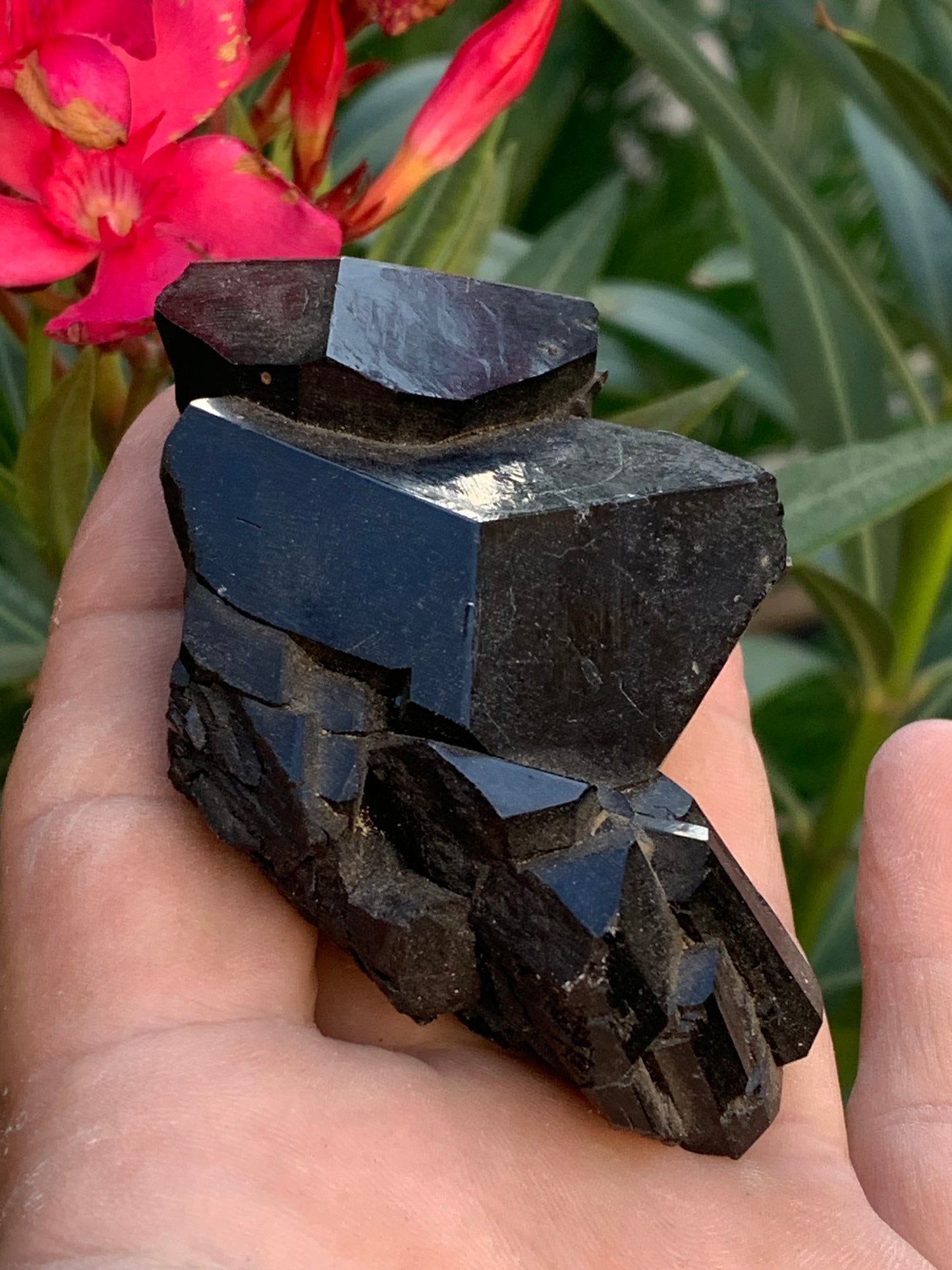 Black tourmaline, natural specimen, twin of 83 x 53 x 32 mm - 166.8 grams. A very beautiful piece with several 3-sided heads! 
