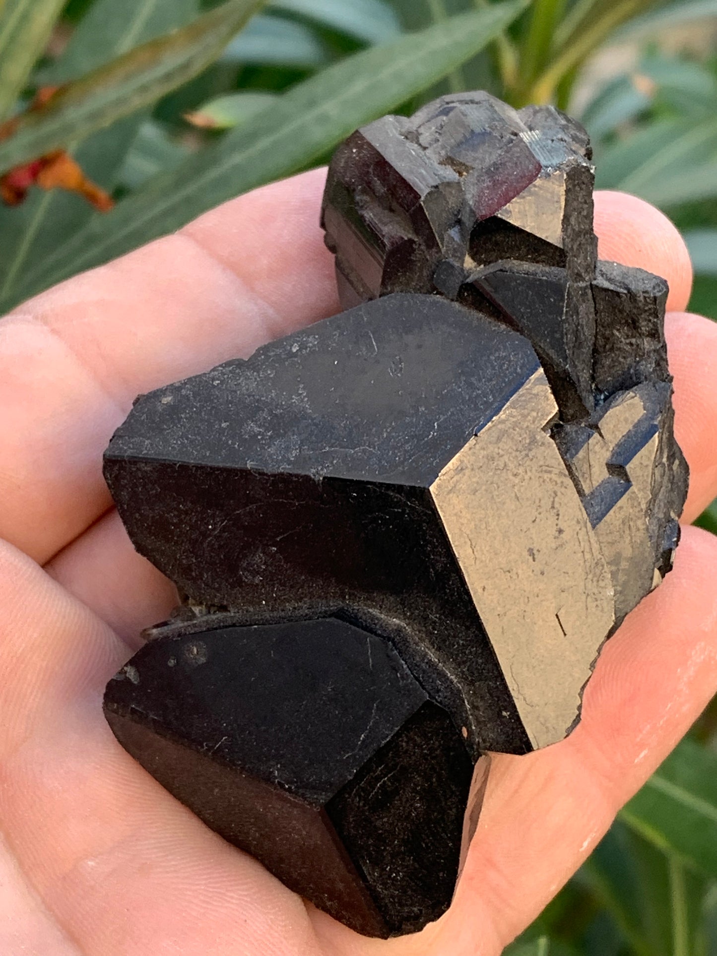 Black tourmaline, natural specimen, twin of 83 x 53 x 32 mm - 166.8 grams. A very beautiful piece with several 3-sided heads! 