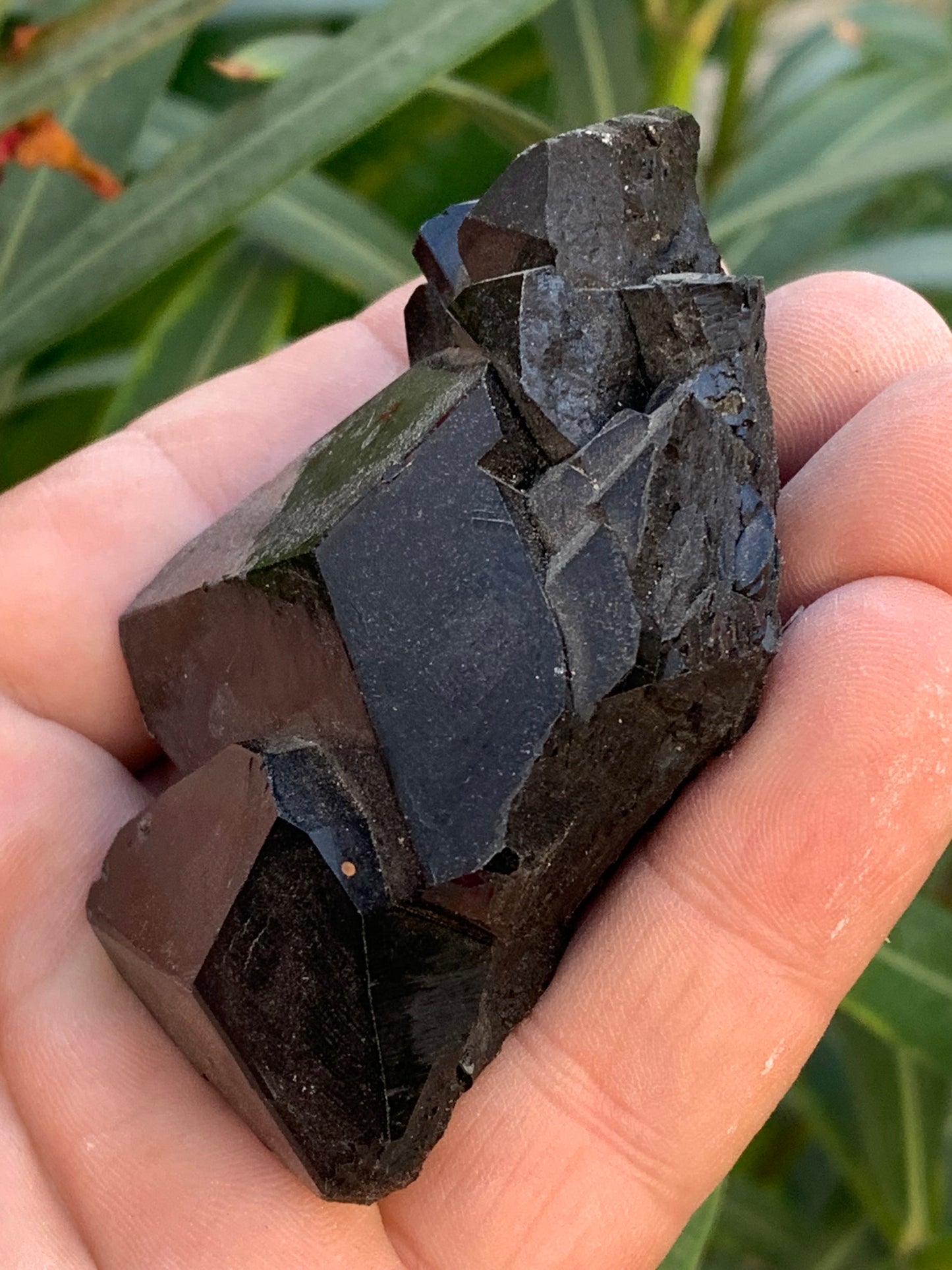 Black tourmaline, natural specimen, twin of 83 x 53 x 32 mm - 166.8 grams. A very beautiful piece with several 3-sided heads! 