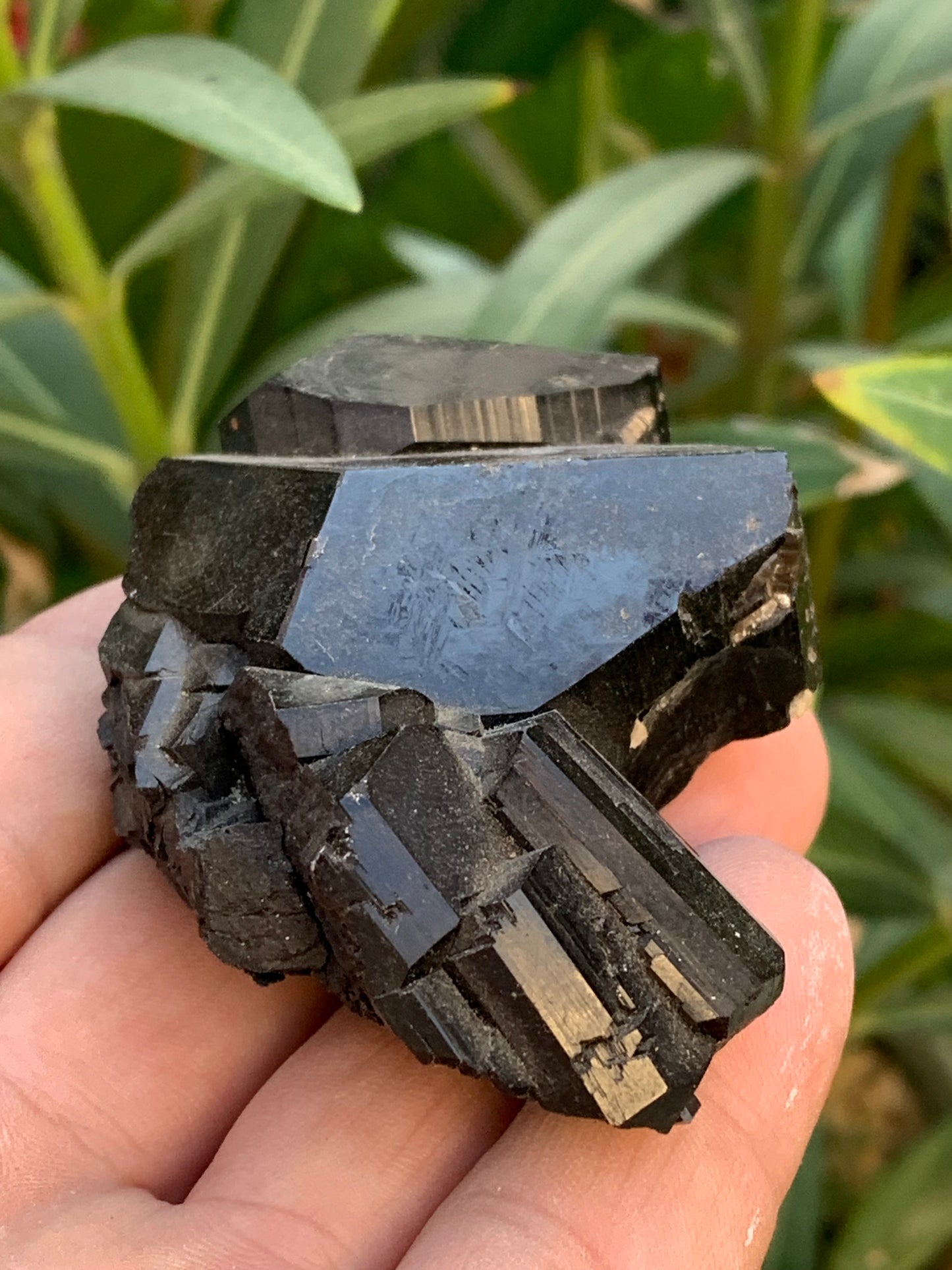 Black tourmaline, natural specimen, twin of 83 x 53 x 32 mm - 166.8 grams. A very beautiful piece with several 3-sided heads! 