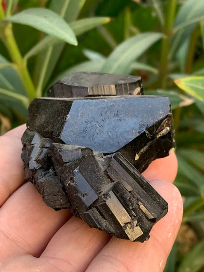 Black tourmaline, natural specimen, twin of 83 x 53 x 32 mm - 166.8 grams. A very beautiful piece with several 3-sided heads! 