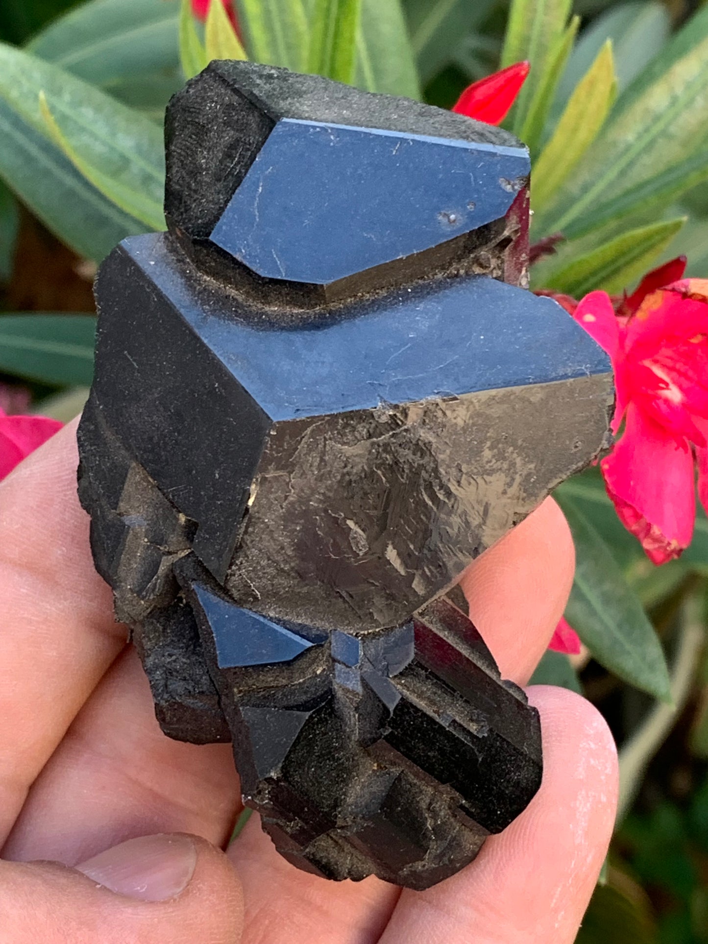 Black tourmaline, natural specimen, twin of 83 x 53 x 32 mm - 166.8 grams. A very beautiful piece with several 3-sided heads! 