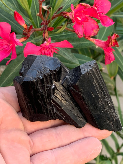 Black tourmaline, natural specimen, twin of 92 x 65 x 50 mm - 263.8 grams. A very beautiful piece with several 3-sided heads! 