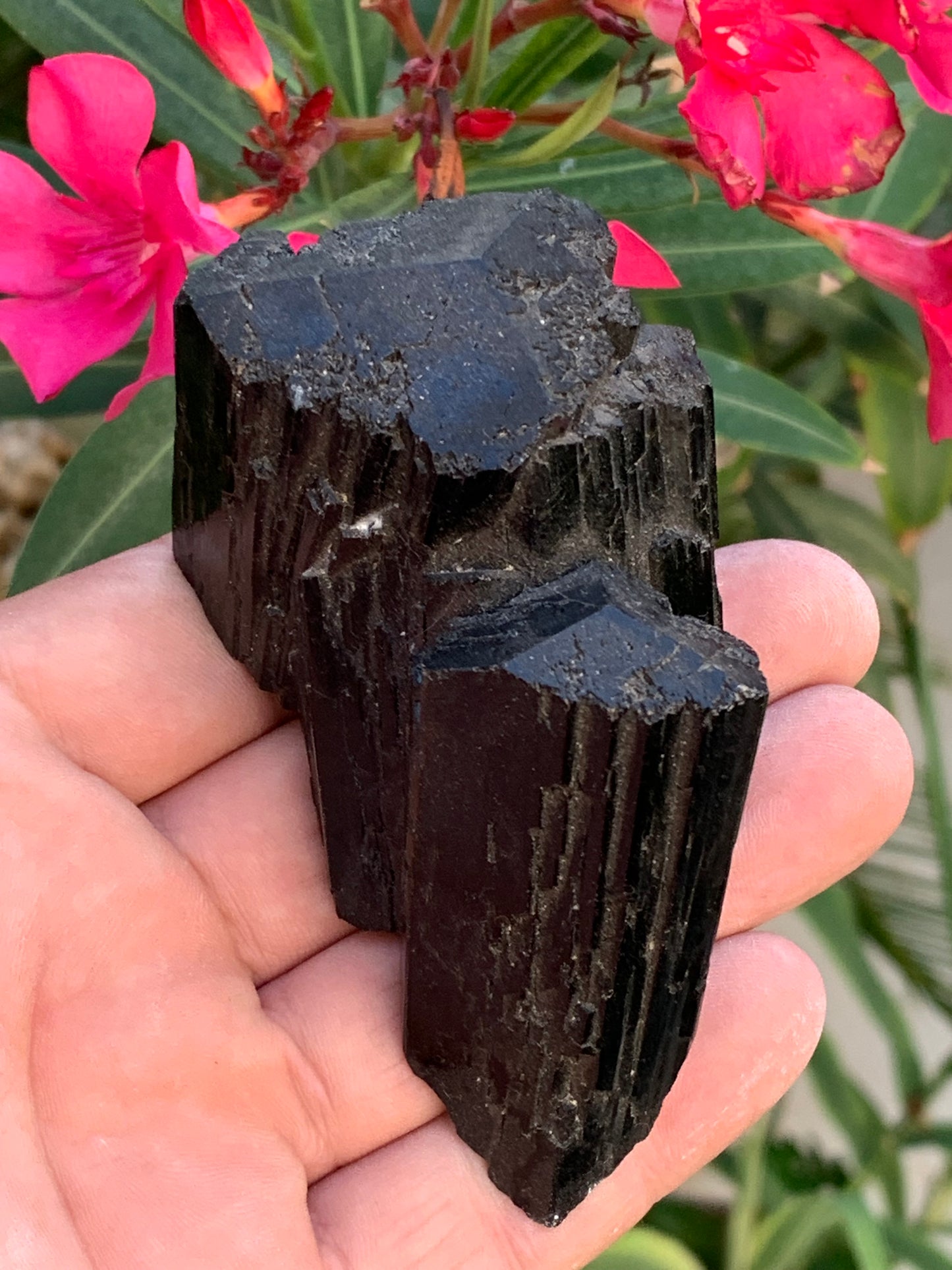 Black tourmaline, natural specimen, twin of 92 x 65 x 50 mm - 263.8 grams. A very beautiful piece with several 3-sided heads! 