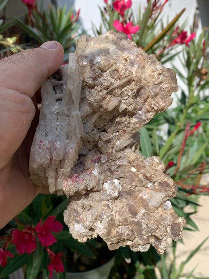 Conglomérat avec Apophyllite, muscovite et Tourmaline Rubellite, superbe spècimen naturel de 170 mm x 90 x 113 - 1 158 grammes !